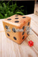 Giant Dice Set
